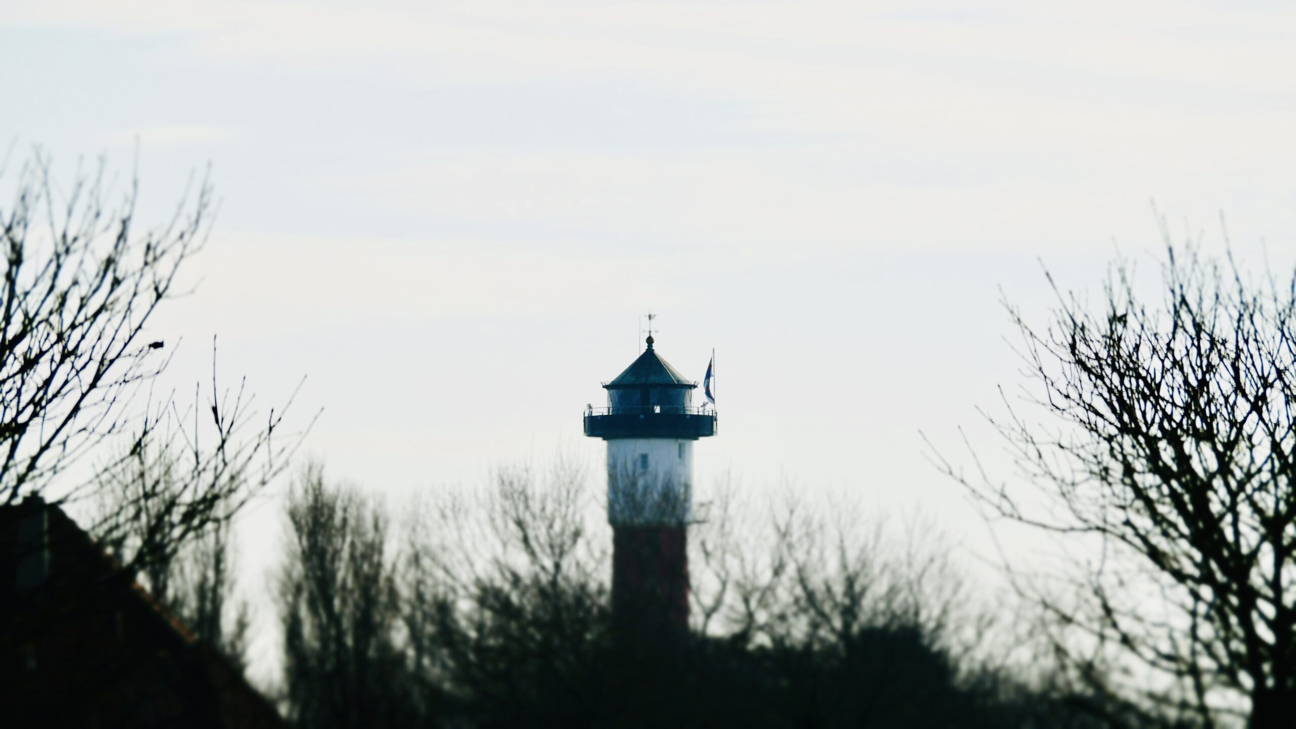 Der Wangerooger Leuchtturm Wangerooger Leuchtturm,Blick aus der Ferne, zwischen den Bäumen hindurch